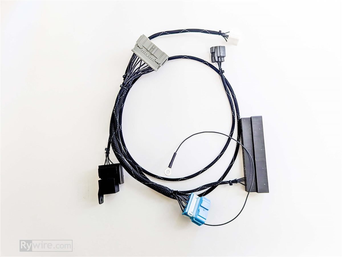 Rywire K Series Conversion Harness (00-05 S2000)