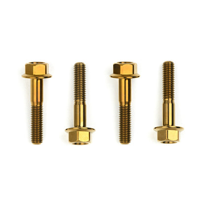 Titanium Mounting Hardware in Various Finishes for 1971-xxx Engine Covers