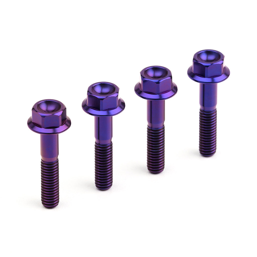 Titanium Mounting Hardware in Various Finishes for 1971-xxx Engine Covers