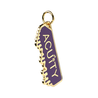 ACUITY Instruments Season 1 Shift Knob Charms