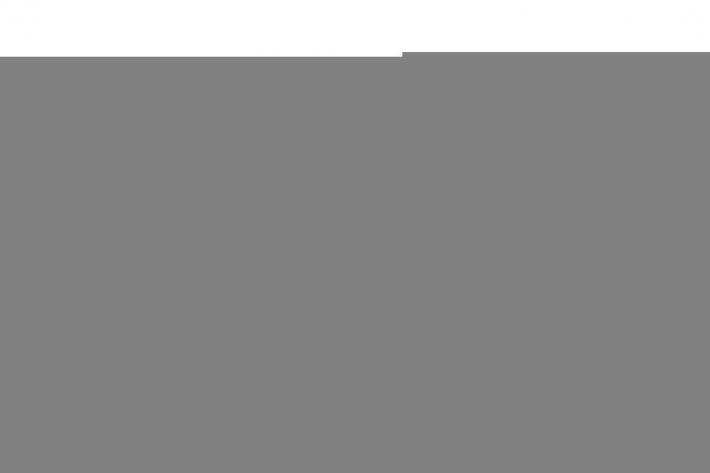 D2 Racing RS Coilovers 13+ Lexus GS 250 13+ Lexus GS 350 13+ Lexus GS 400H 14+ Lexus IS 200T 14+ Lexus IS 250 14+ Lexus IS 300 14+ Lexus IS 350 RWD D2 Racing