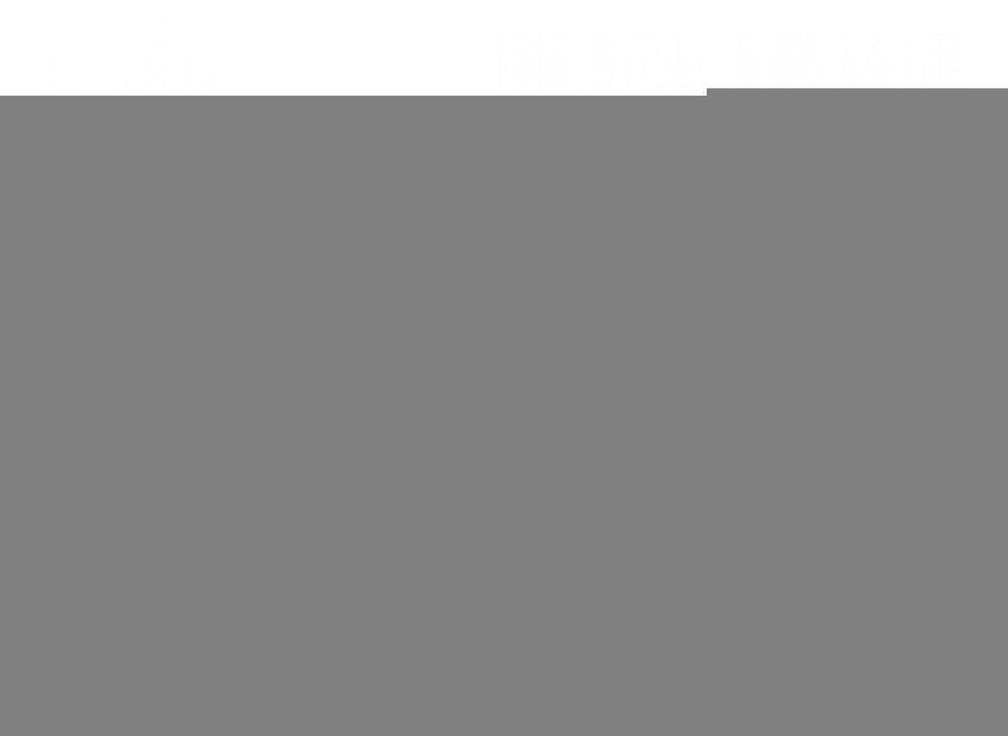 D2 Racing RS Coilovers 02-09 Saab 9-5 D2 Racing