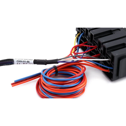 Hybrid Racing Universal K Swap Conversion Wiring Harness