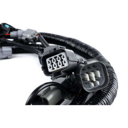 Rywire LHD EG/DC B Series OEM Replacement Engine Harness