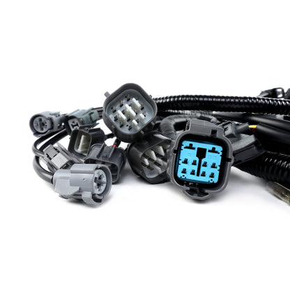 Rywire LHD EG/DC B Series OEM Replacement Engine Harness