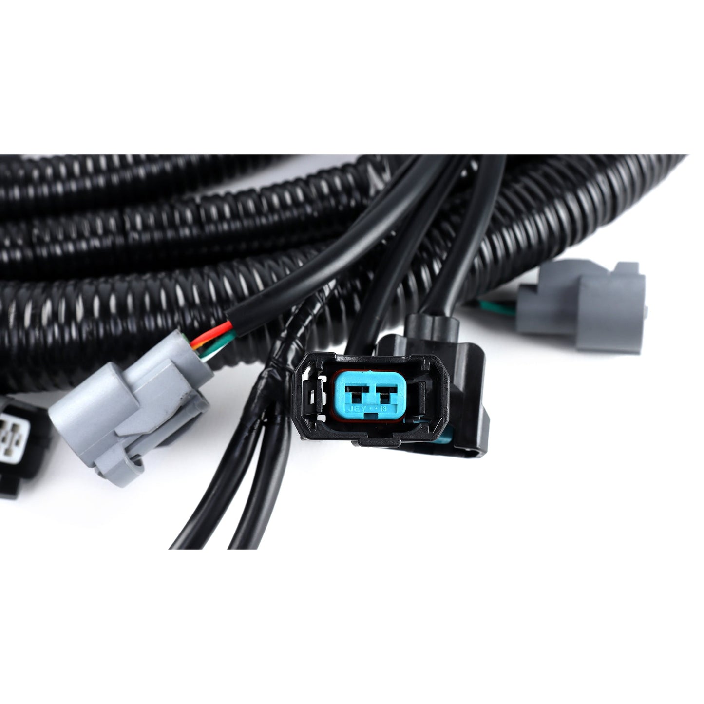 Rywire LHD EG/DC B Series OEM Replacement Engine Harness