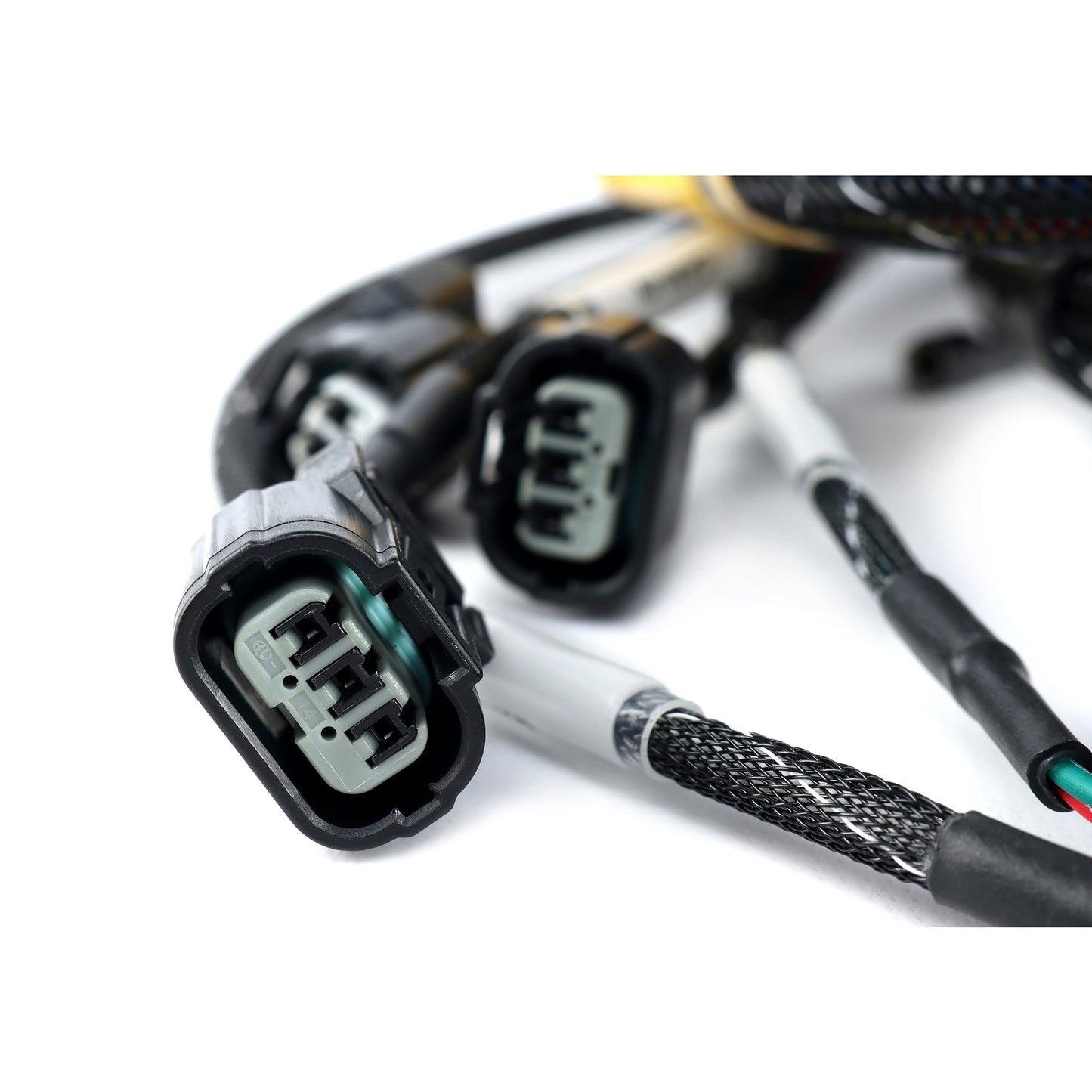 Rywire 02-04 K-Series RWD Engine Harness