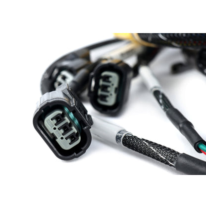 Rywire 02-04 K-Series RWD Engine Harness