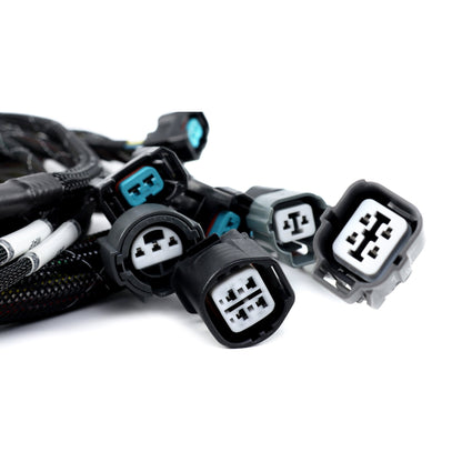 Rywire 02-04 K-Series RWD Engine Harness