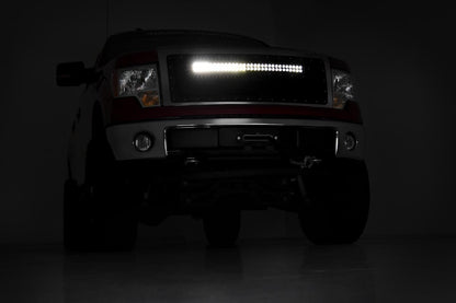 Mesh Grille | 30" Dual Row LED | Black | Ford F-150 2WD/4WD (09-14)