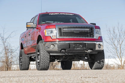 Mesh Grille | 30" Dual Row LED | Black | Ford F-150 2WD/4WD (09-14)